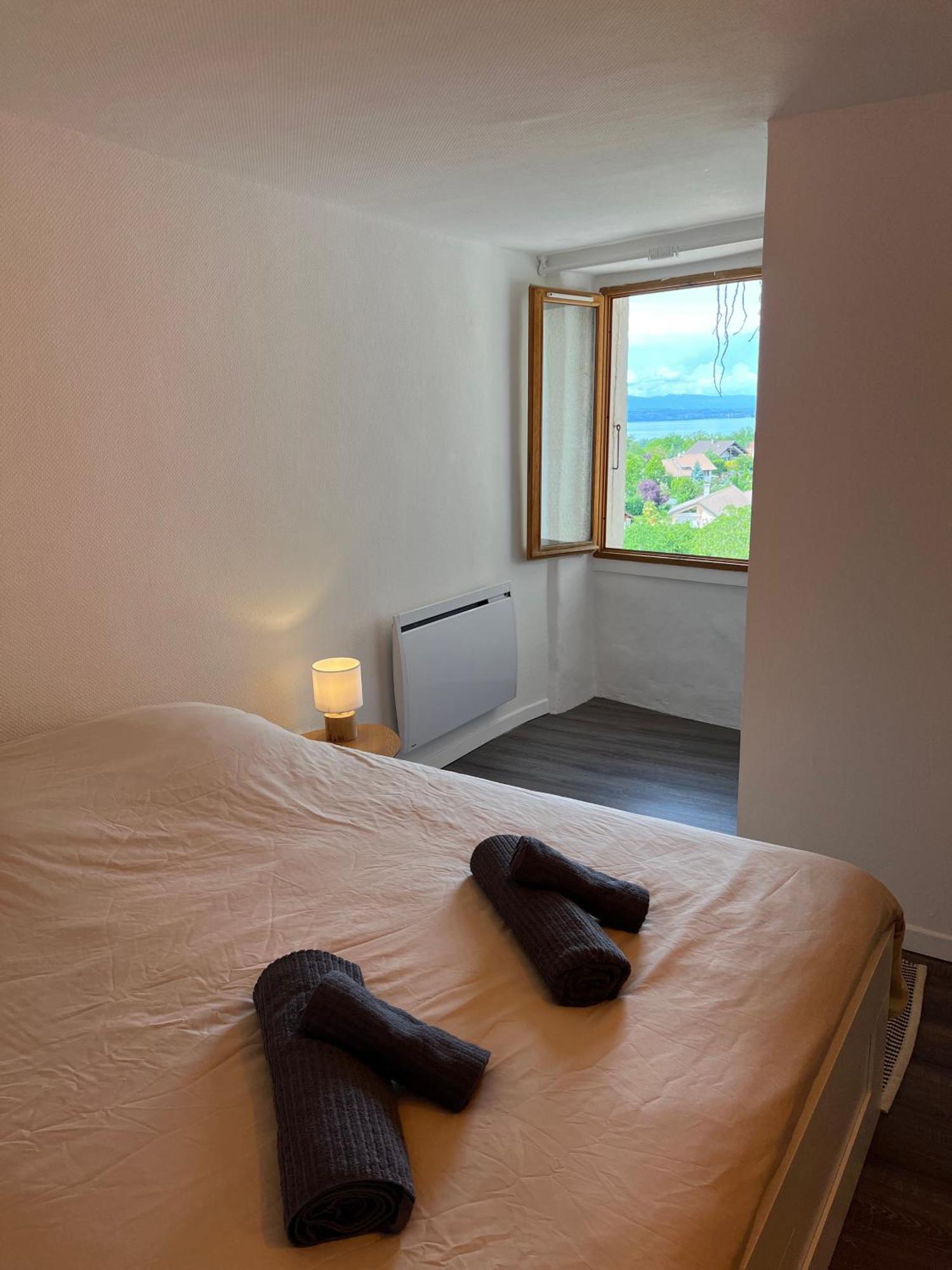 Charmante Maison De Village A 10Min De Thonon-Les-Bains Allinges 外观 照片